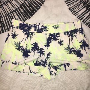 NWOT Palm Tree Shorts